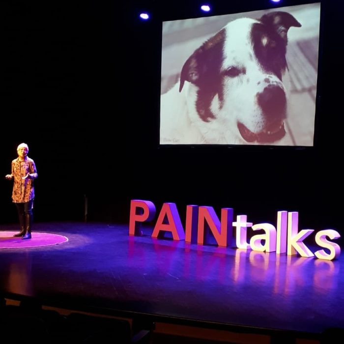 a slide from PAINtalks 2019 showing a dog