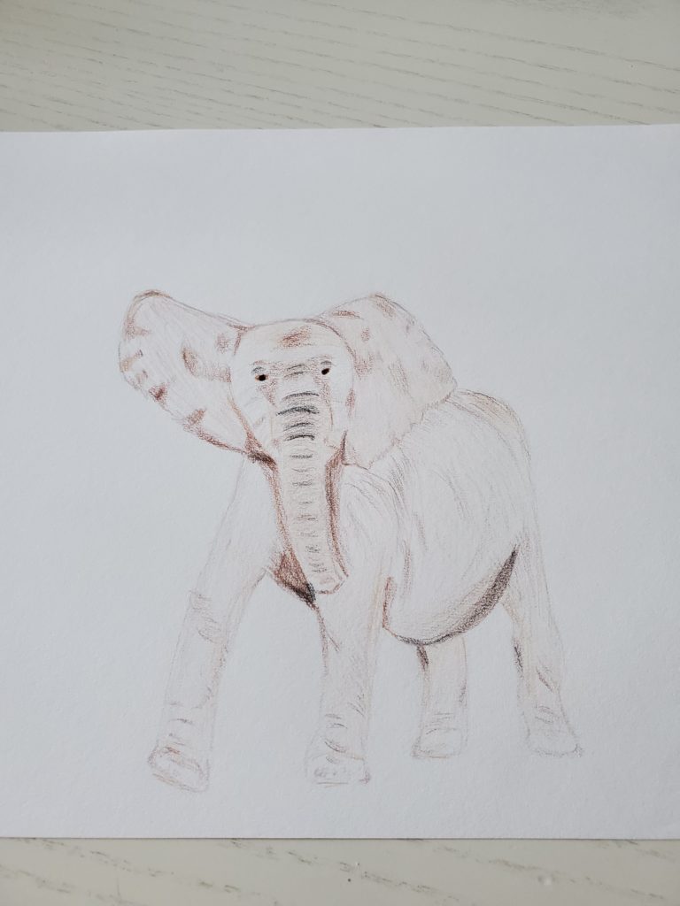 An incomplete amateur drawing of a juvenile elephant