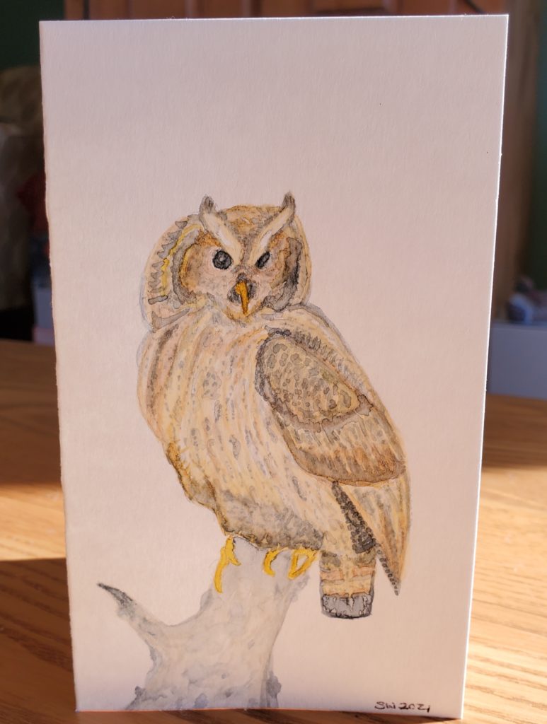 A beginner watercolour painting of an owl