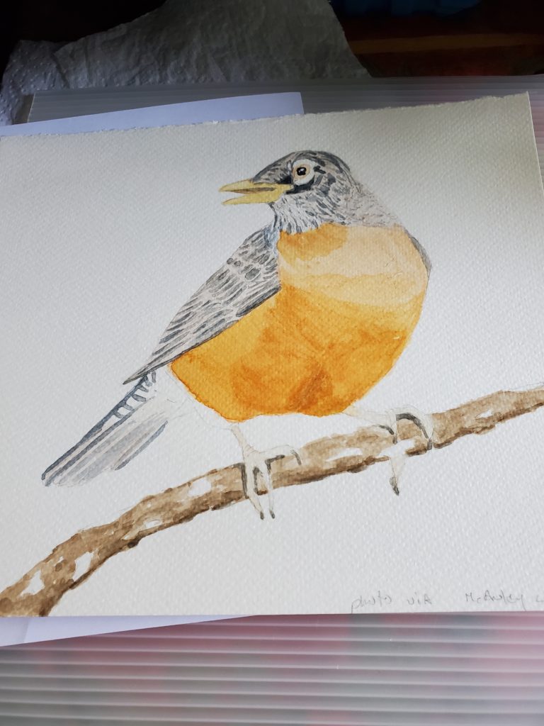 A partially-completed watercolour painting of an American Robin, by Sandra Woods during a workshop hosted by the Cornell Ornithology Lab (their photo)