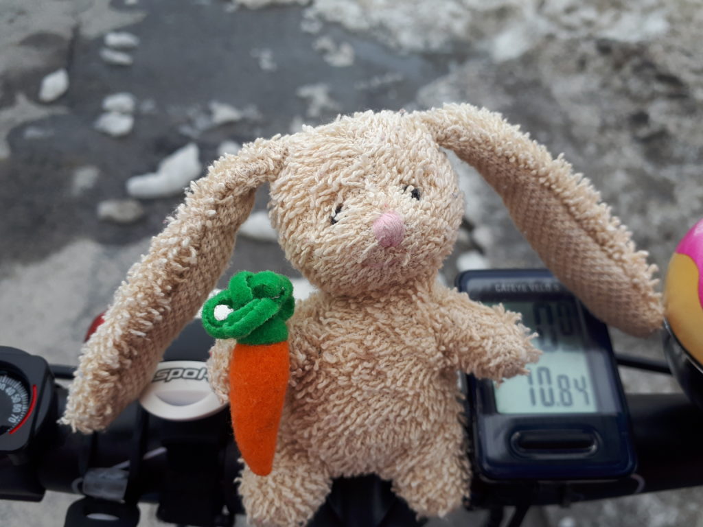 a small plush rabbit, perched on the handlebar of a bicycle. There are chunks of winter ice on the road. It looks cold.