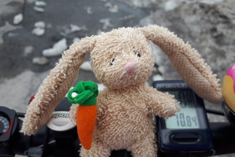 a small plush rabbit, perched on the handlebar of a bicycle. There are chunks of winter ice on the road. It looks cold.
