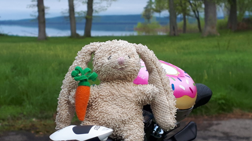 a small plush rabbit, perched on the handlebar of a bicycle. There is a lake in the background.