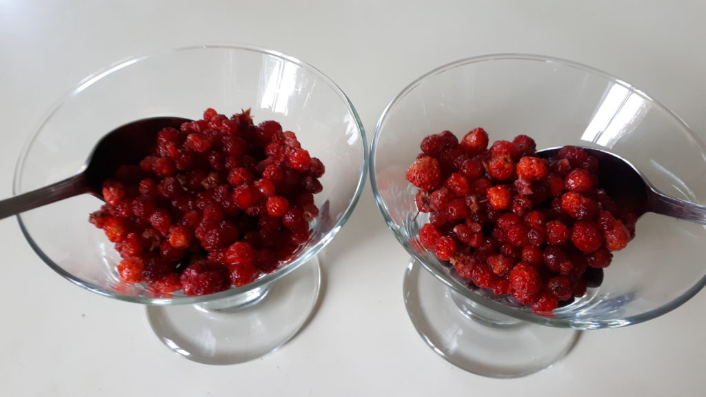two small glass bowls, each holding about a half-cup of tiny wild strawberries