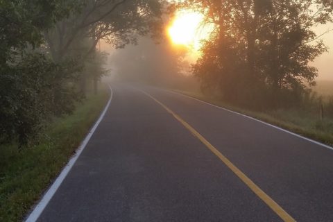the sun rising, in fog, over a road through a forest