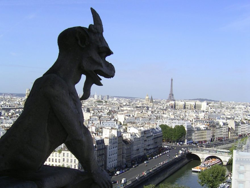 a view of Paris from the top of Notre-Dame Cathedral in Paris