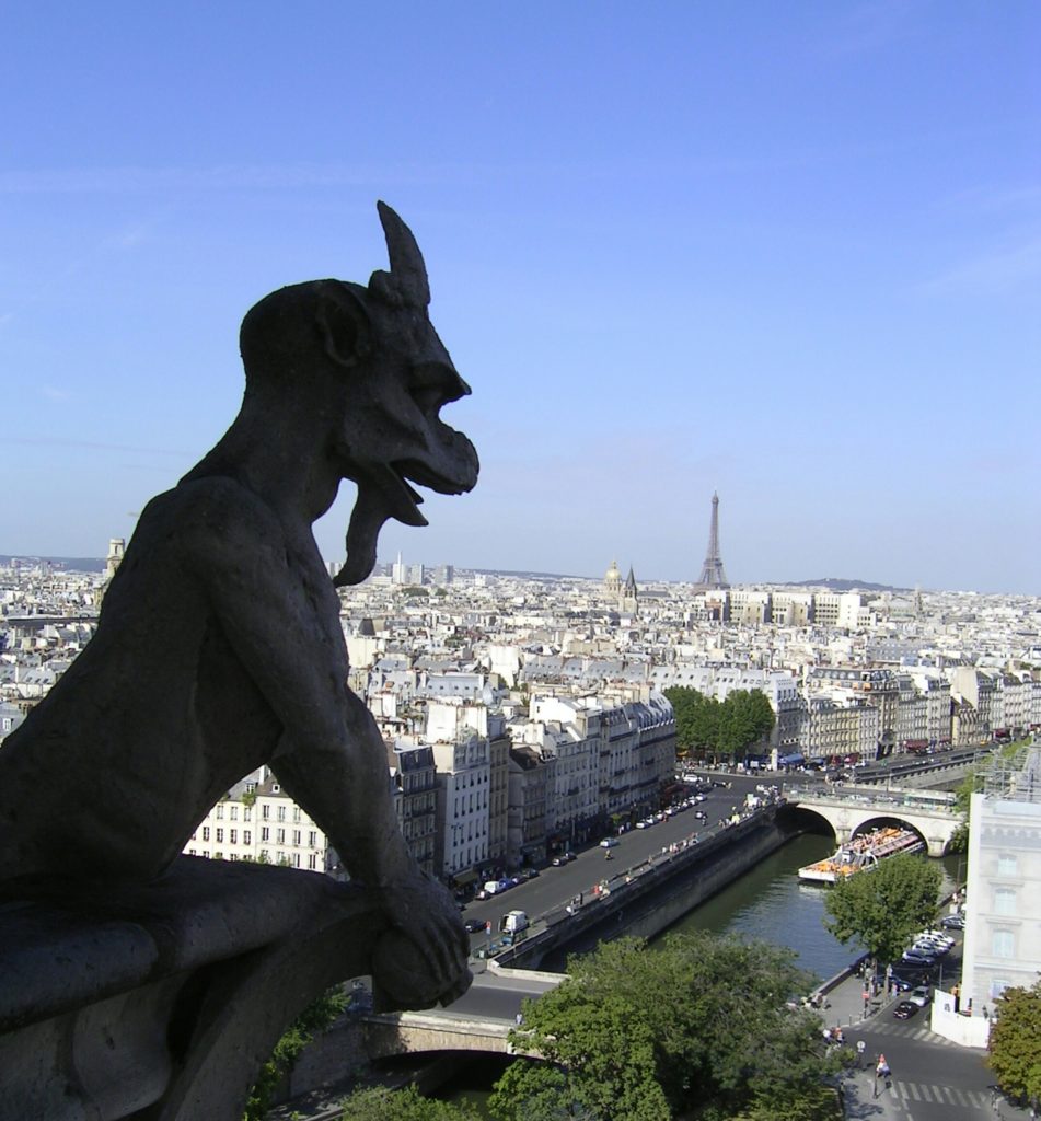 a view of Paris from the top of Notre-Dame Cathedral in Paris