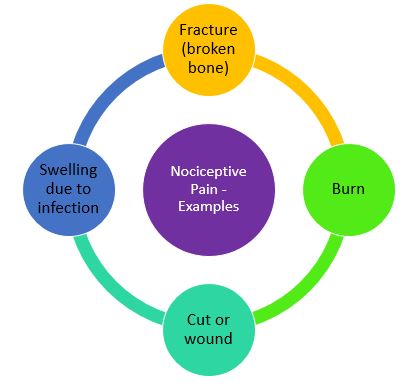 examples of nociceptive pain