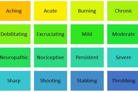 some examples of pain sensations, including burning, stabbing, persistent