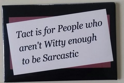 a fridge magnet that says: Tact is for people who aren't witty enough to be sarcastic