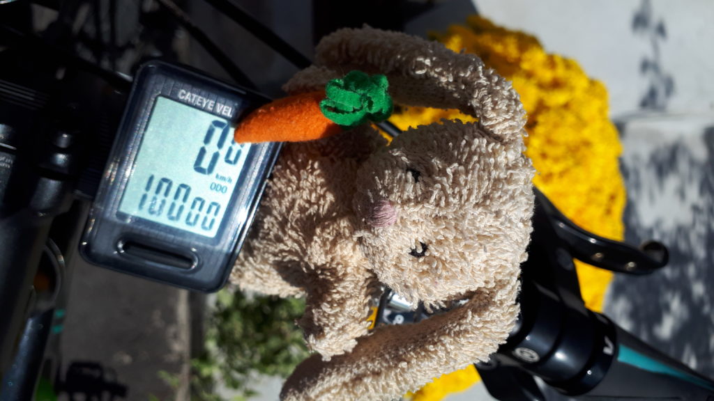 a small plush rabbit, balanced on the handlebars of a bicycle, beside a cycling odometer that reads 10,000 km