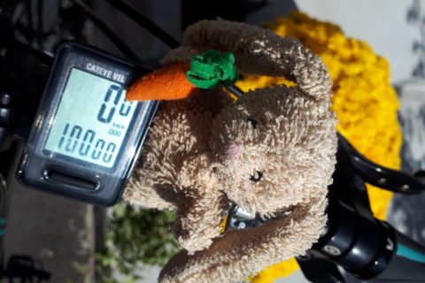 a small plush rabbit, balanced on the handlebars of a bicycle, beside a cycling odometer that reads 10,000 km
