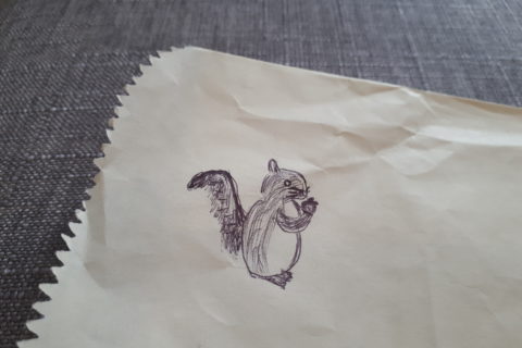 a very crude line drawing of a squirrel holding an acorn