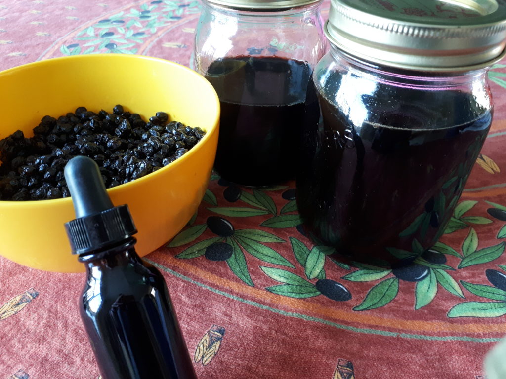 a bowl of cooked elderberries and two jars of homemade elderberry syrup