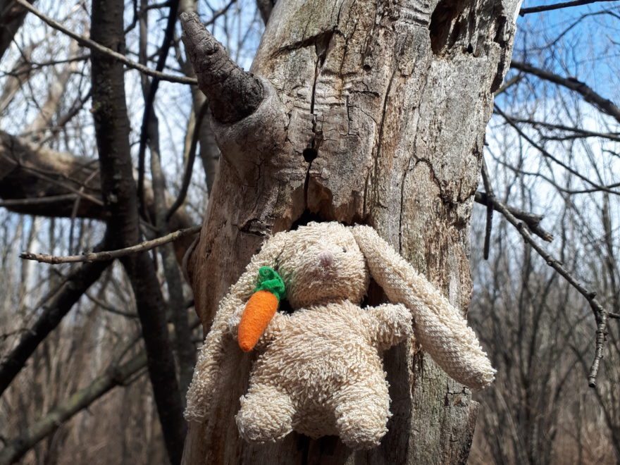 a small plush bunny, balanced inside a hole in tree that is riddled with woodpecker holes