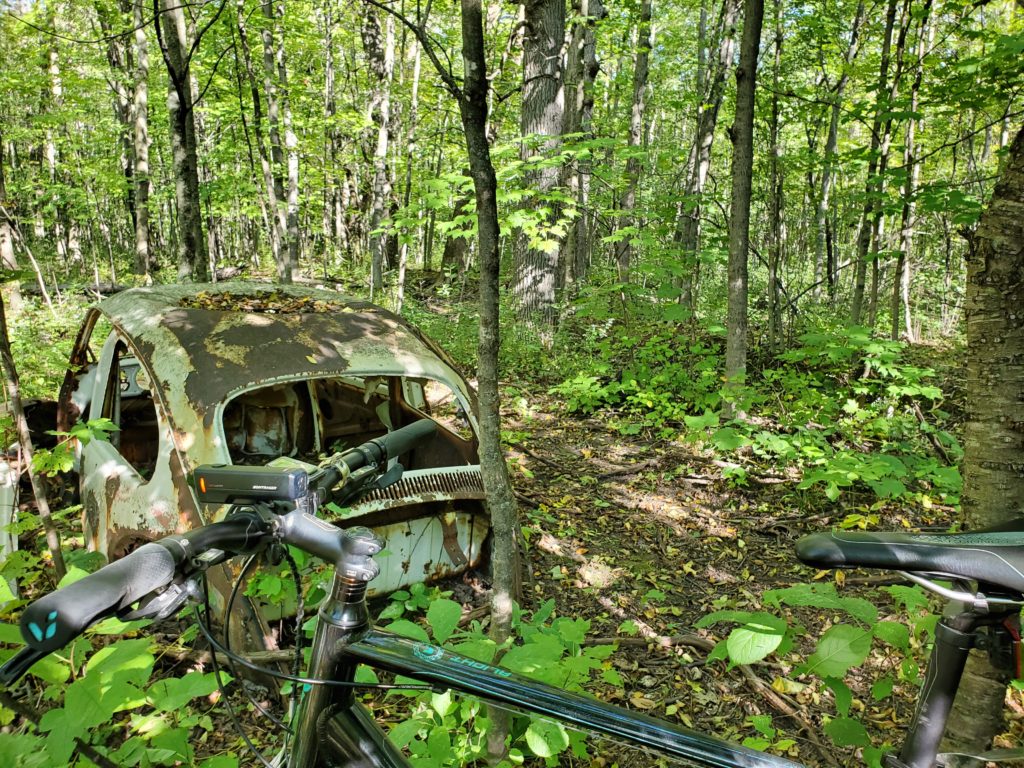 an abandoned car rusting away to nothing in a forest