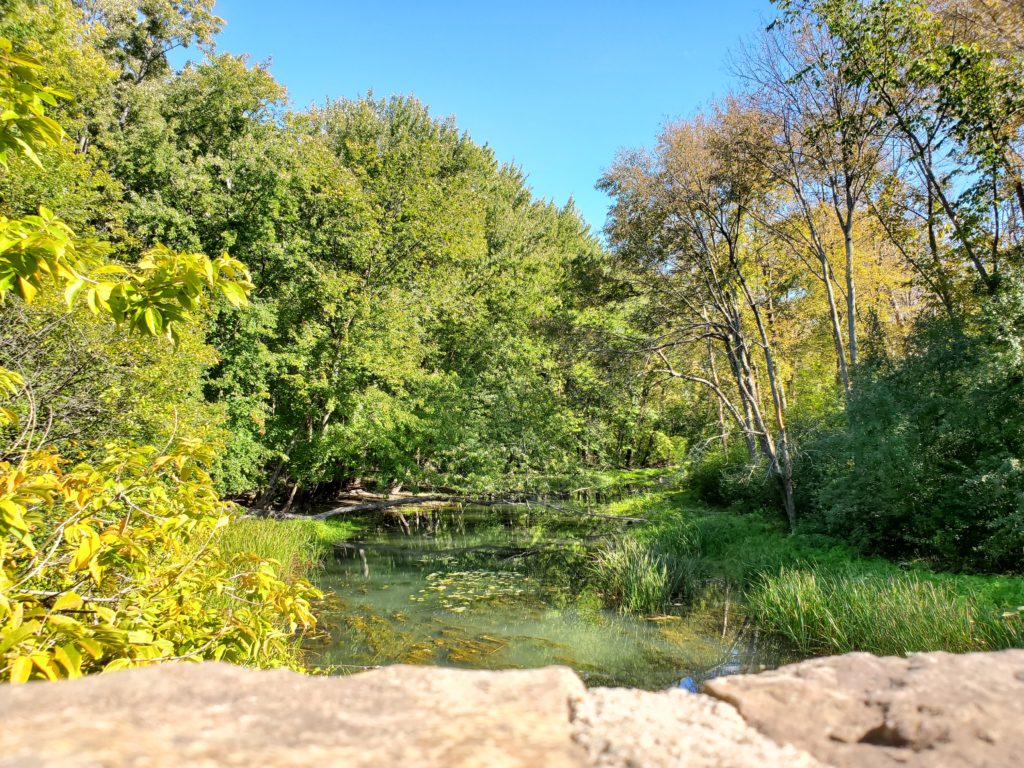 a stream running through a forest, viewed from the top of an old stone bridge crossing it. The sky is blue, and the leaves are just beginning to turn yellow at the end of the summer