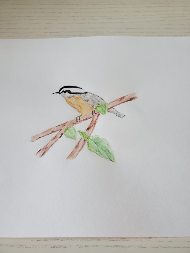 An amateur watercolour painting of a chickadee perched on a branch