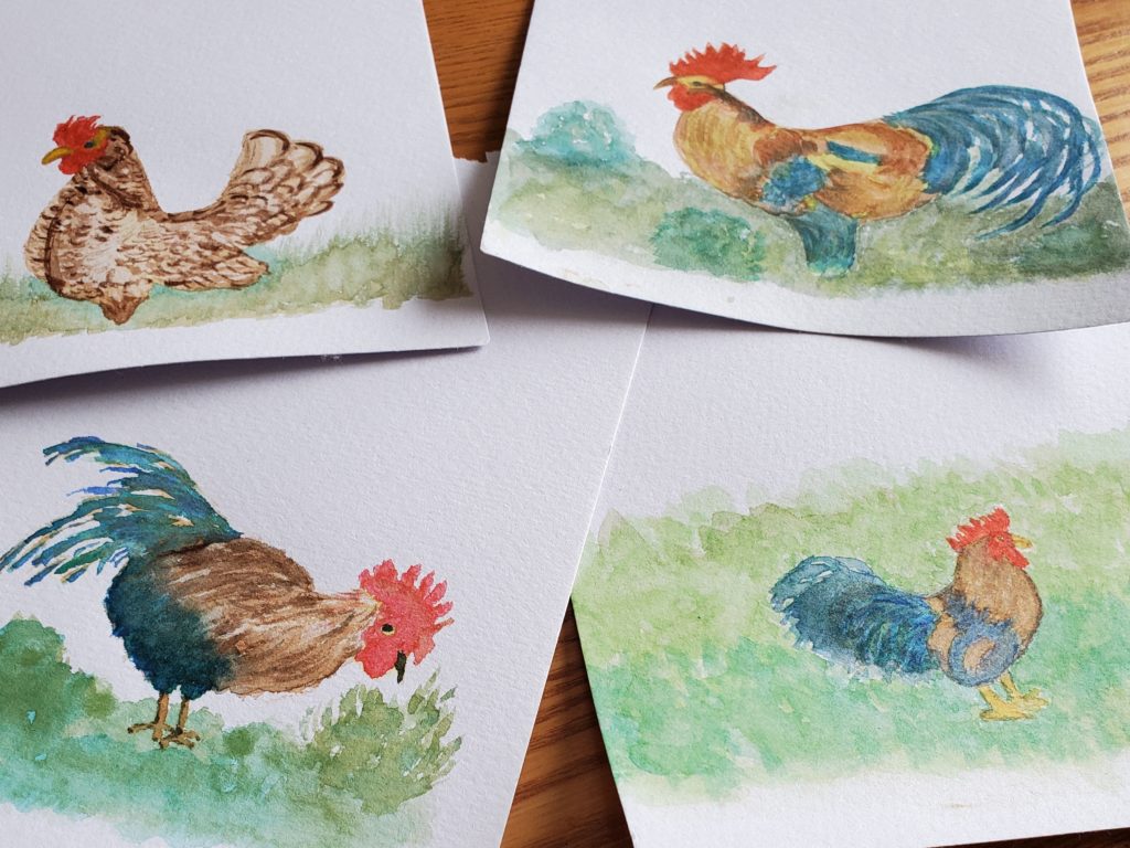 four small watercolour paintings of roosters
