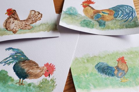 four small watercolour paintings of roosters