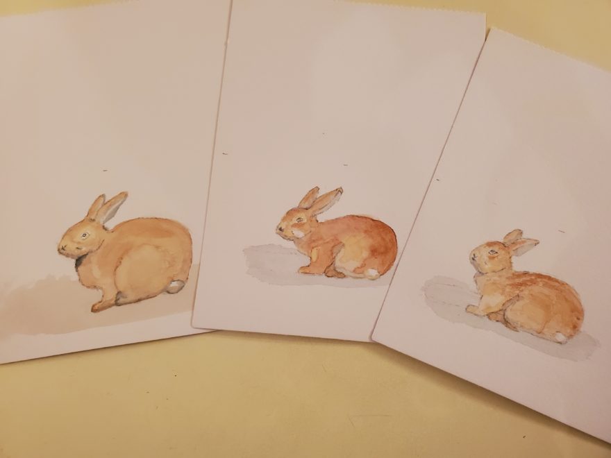 Three beginner watercolour paintings, each of an eastern cottontail rabbit