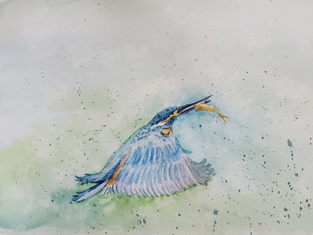 A watercolour painting, by Sandra Woods, of a kingfisher flyiing with a fish in its beak