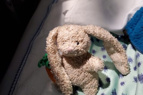 a small plush rabbit, sitting on a hospital gown on a gurney. The lights are down, and it seems to be nighttime.
