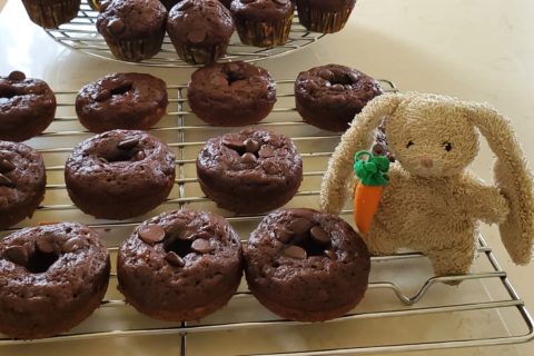 A small plush rabbit toy on a tray of baked chocolate donuts
