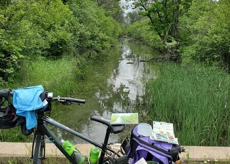 A bicycle parked in front of a creek, set up as a portable easel for watercolour painting.