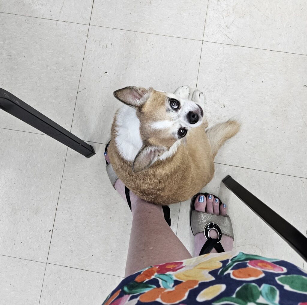 Otis, Thomas W Schaller's rescue dog, sitting on Sandra Woods' foot during a demonstration by the artist at the Atelier d'aquarelle le Partage