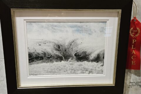 A 2nd Prize ribbon on the wall beside an impressionistic watercolour painting of a wave, representing a wave of chronic pain washing over a person