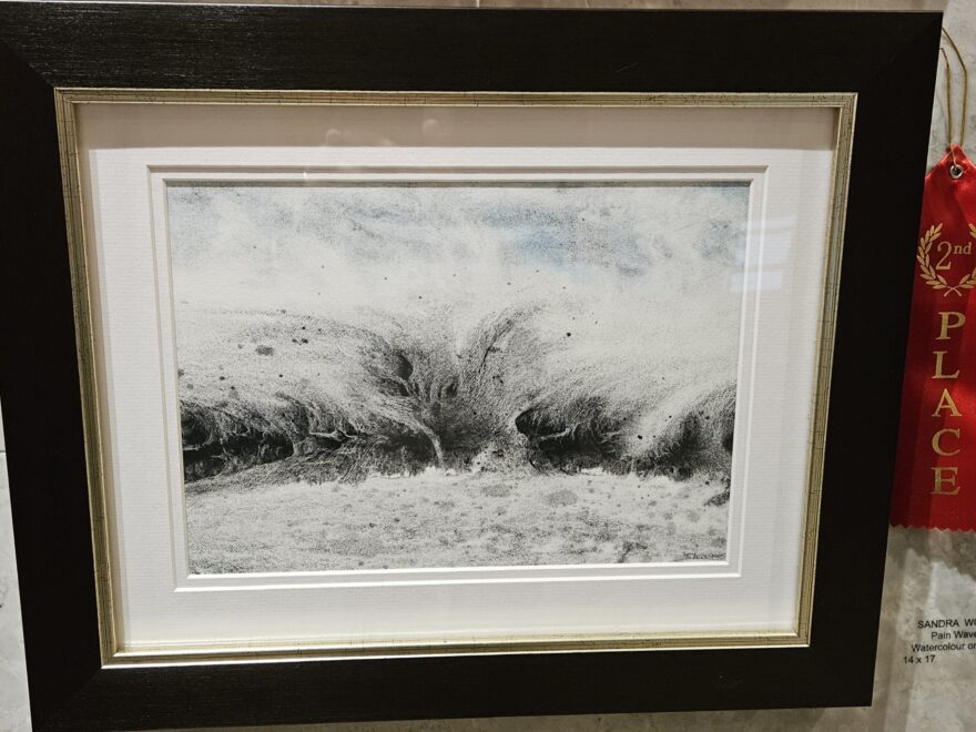 A 2nd Prize ribbon on the wall beside an impressionistic watercolour painting of a wave, representing a wave of chronic pain washing over a person