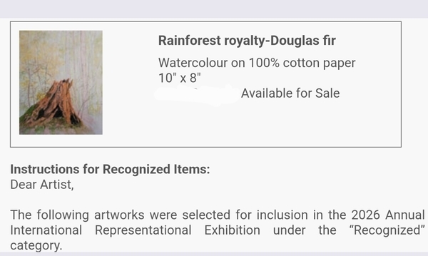 A watercolour painting of the giant stump of a Douglas Fir in Stanley Park in Vancouver, by www.SandraWoods.art